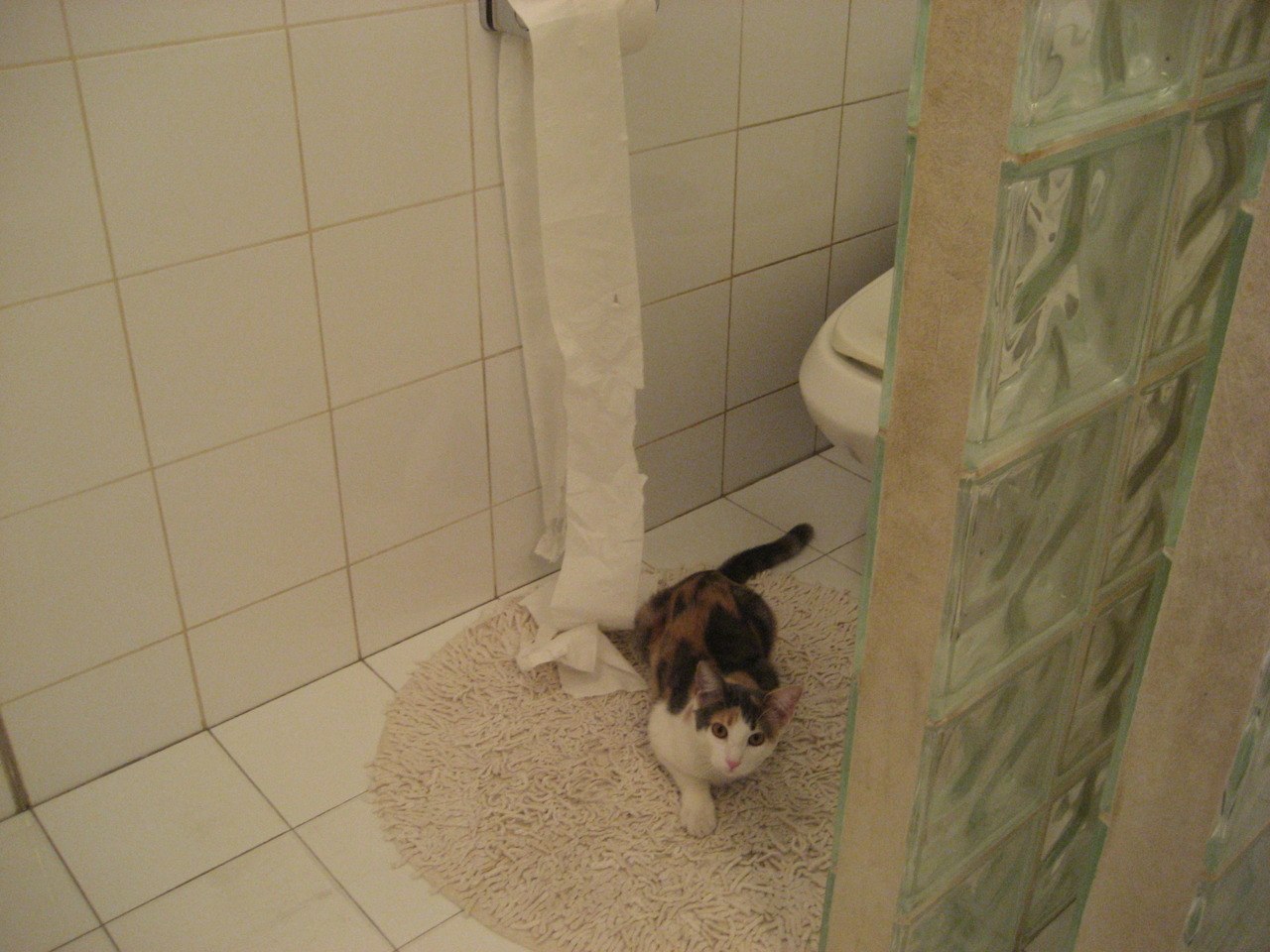 开云平台-黄金数据的灰色结局，杰伦·格林47分之夜，为何被灰熊末节一波带走？