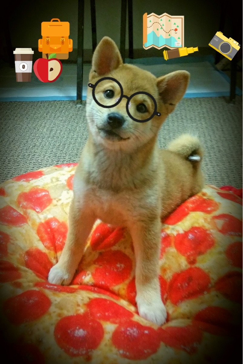 铭刻之夜，爱德华兹如何在一个瞬间定义永恒