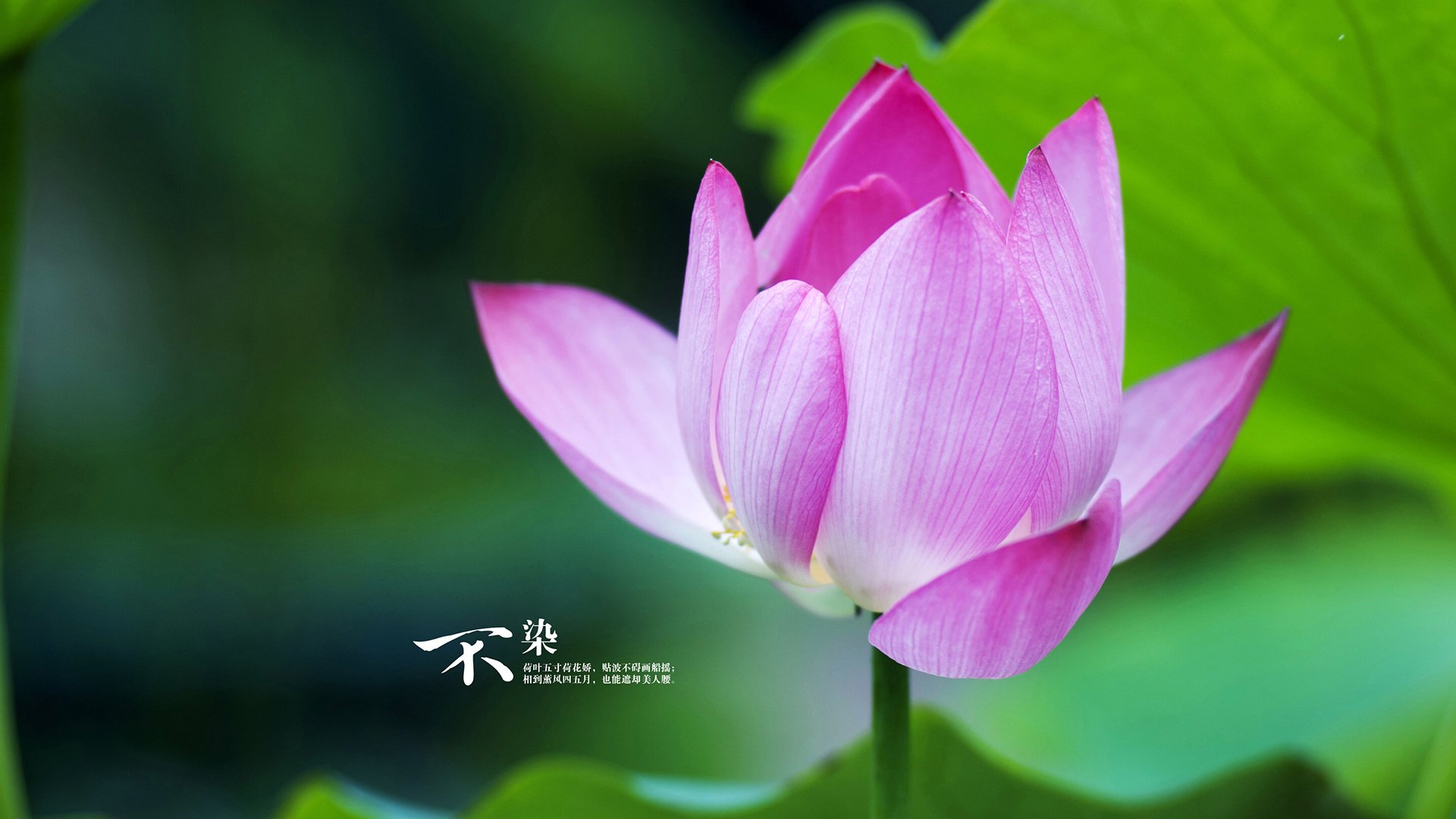 开云体育APP下载-跨界英雄，库尔图瓦在威尔士对阵突尼斯友谊赛中赛后评分拉满