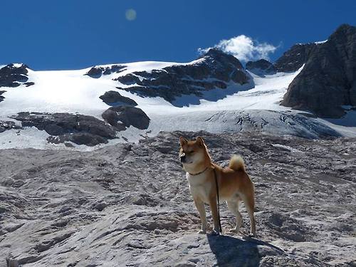 开云体育中国-当战术代码破解金融密码，布鲁诺如何用摩纳哥的降维打击轻取厄瓜多尔