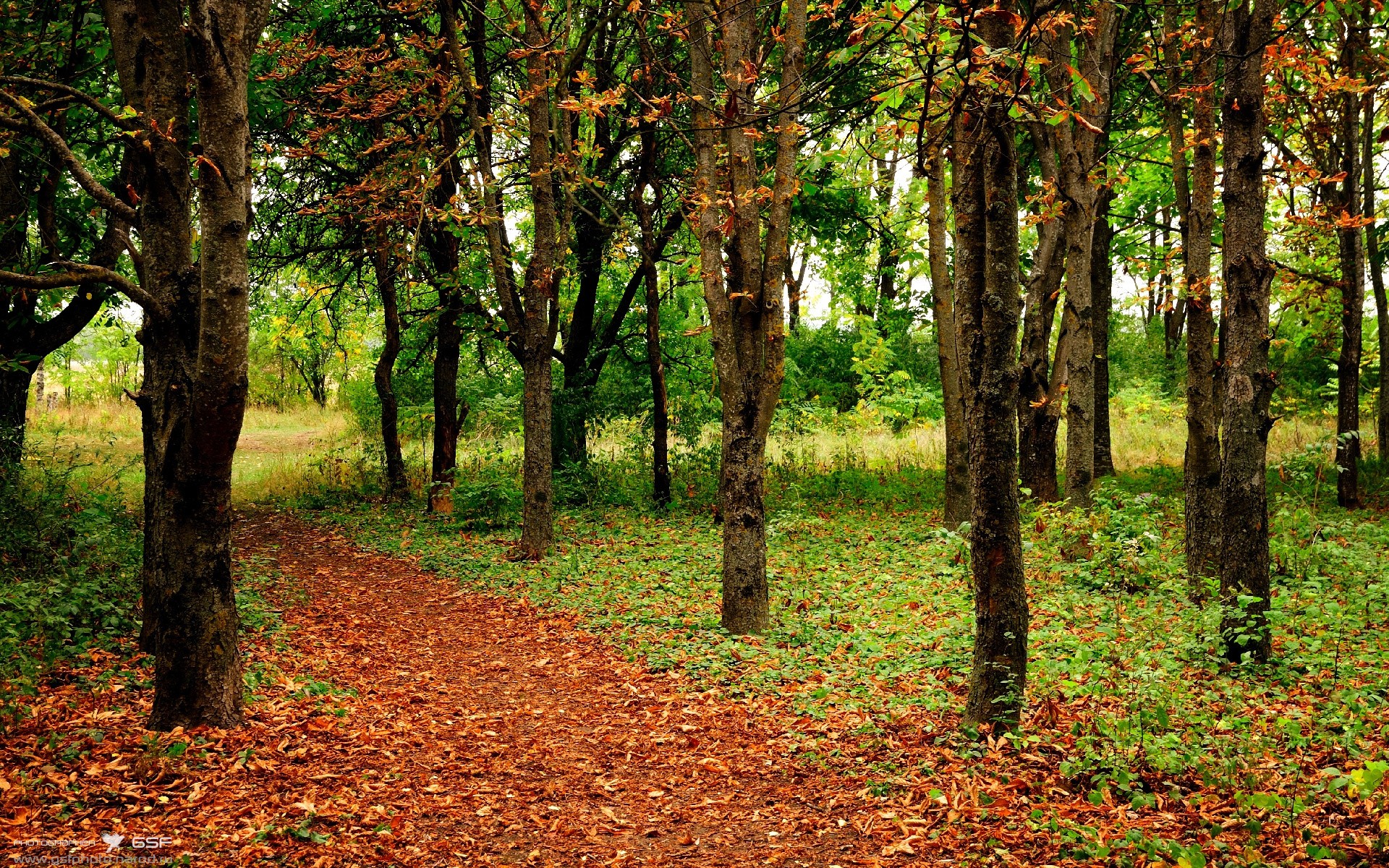 开云体育在线-如果质疑是遮蔽光芒的云，今夜，哈登的后撤步将星空划破
