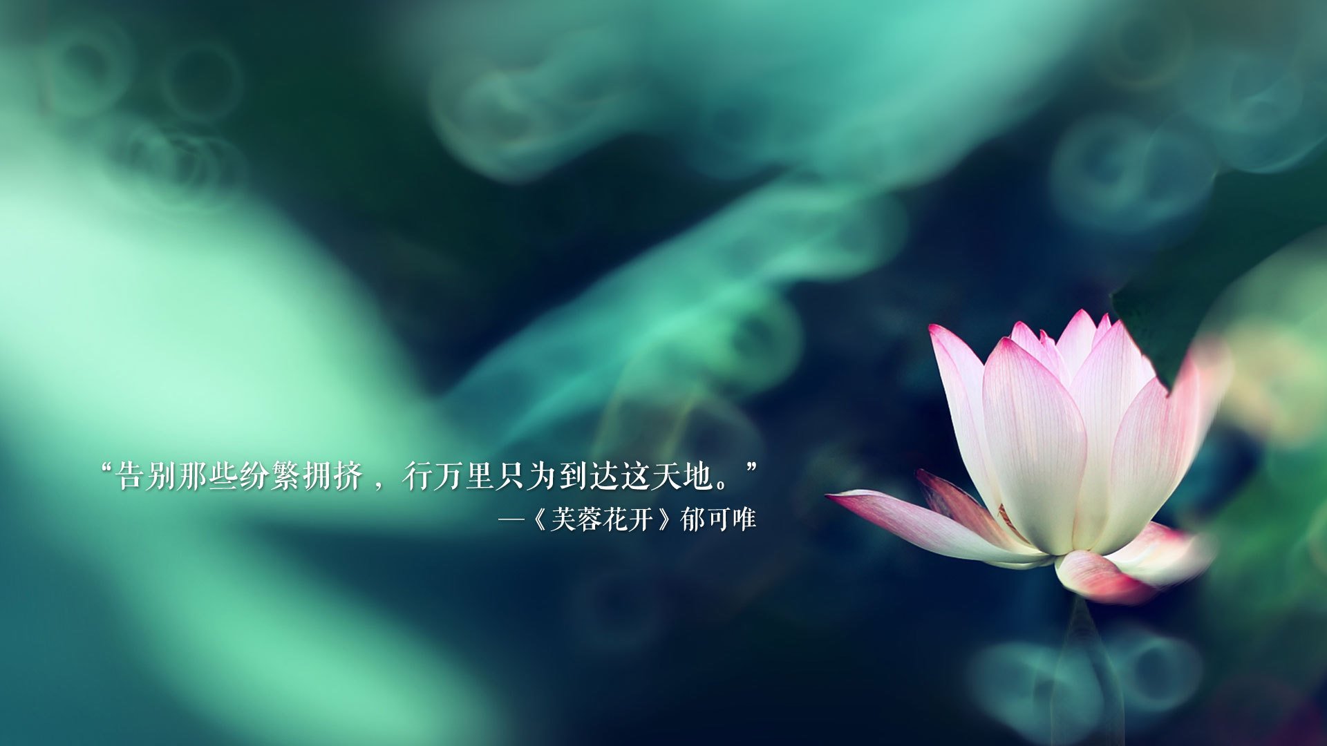 (扩展思维)
